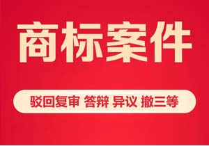 商標(biāo)代理機(jī)構(gòu)的業(yè)務(wù)范圍包含哪些?一篇講透核心業(yè)務(wù)，選對機(jī)構(gòu)不吃虧!